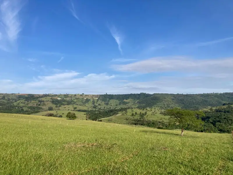 Campo e mata ao fundo nas Terras de São Domingos