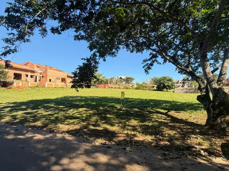 Terreno com sombra natural e casas vizinhas ao fundo