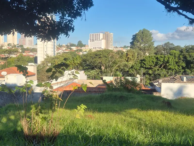 Terreno de 450 m² sob a sombra de árvores no Recanto Azul