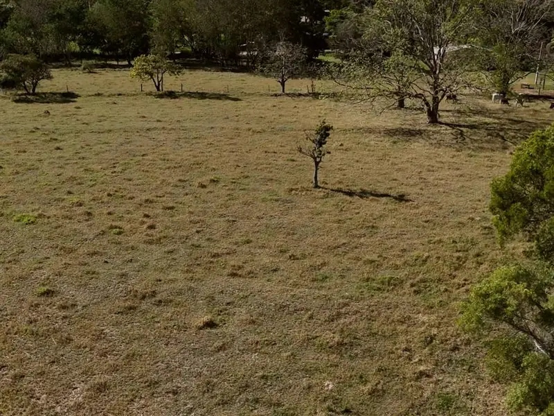 Área de pasto plana em um dos lotes de 20.000 m² na Demétria